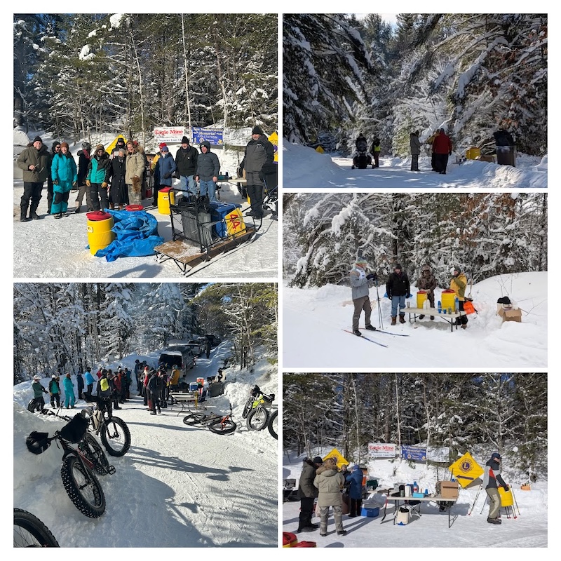 Lions Negaunee Projects